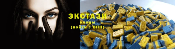 крисы Бородино