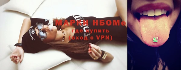 крисы Бородино