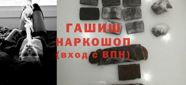 крисы Бородино