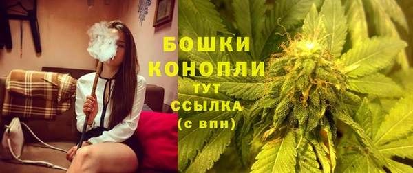 крисы Бородино