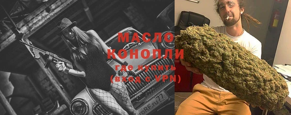 крисы Бородино