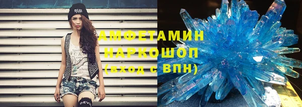 крисы Бородино