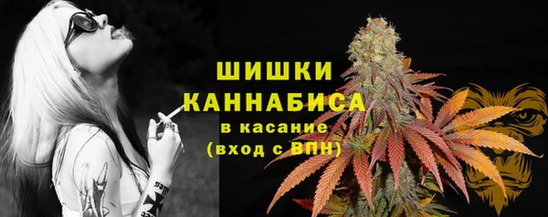 ПСИЛОЦИБИНОВЫЕ ГРИБЫ Бугульма