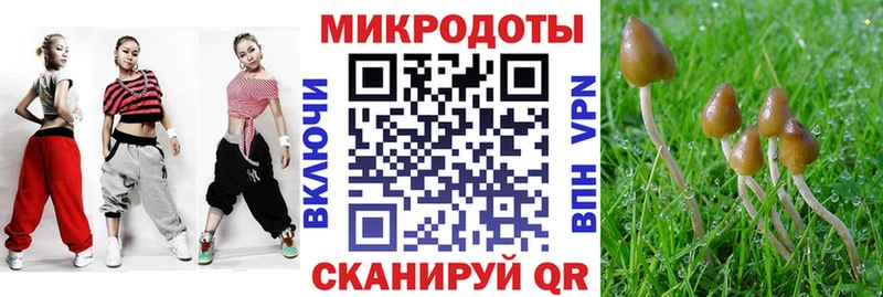 Псилоцибиновые грибы мицелий  Нестеровская 